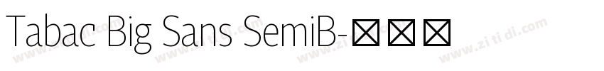 Tabac Big Sans SemiB字体转换 Tabac Big Sans SemiB字体转换